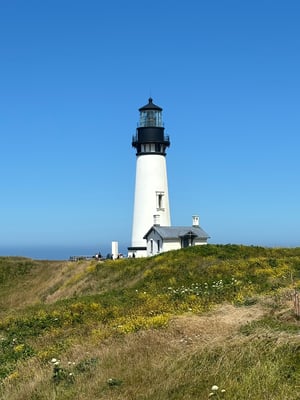 Lincoln City